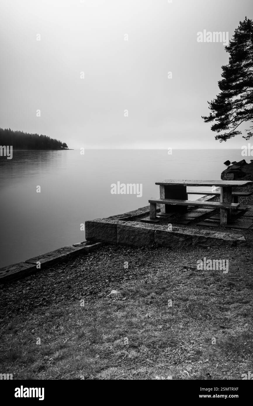 Hurdalsjøen alla fine dell'autunno: Un'estremità si è persa nella nebbia, l'altra è illuminata dalla luce dorata. Un momento in cui la natura rispecchia i suoi contrasti, calma e sempre Foto Stock