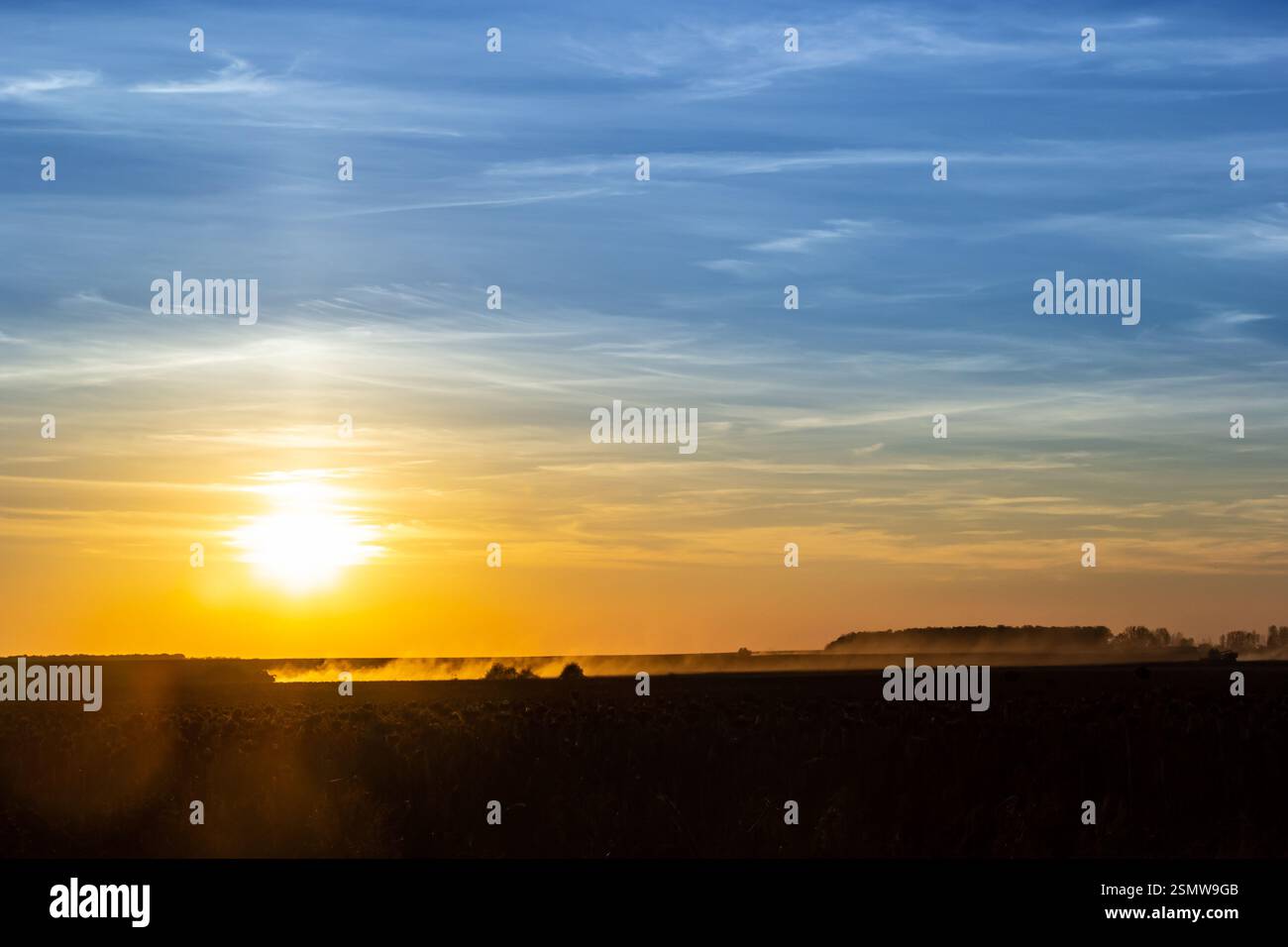 Una splendida alba illumina l'orizzonte con colori caldi, diffondendo una luce delicata sui campi nebbiosi. Questo momento sereno cattura la calma della natura di giorno Foto Stock