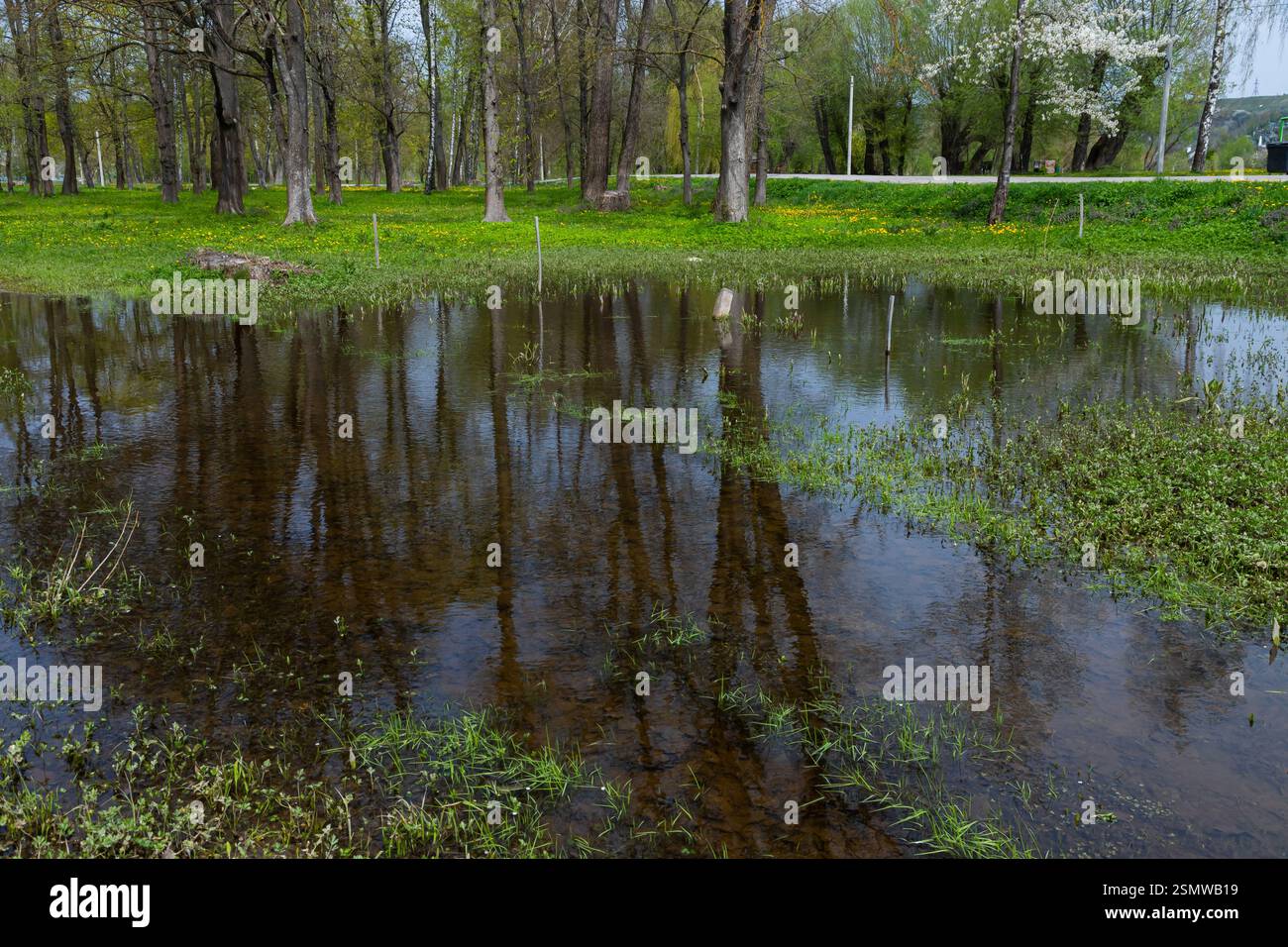 Le inondazioni primaverili nell'oblast di Ternopil mettono in mostra acque tranquille tra gli alberi, riflettendo il lussureggiante fogliame e l'erba verde sotto il cielo limpido, mettendo in risalto il natu Foto Stock
