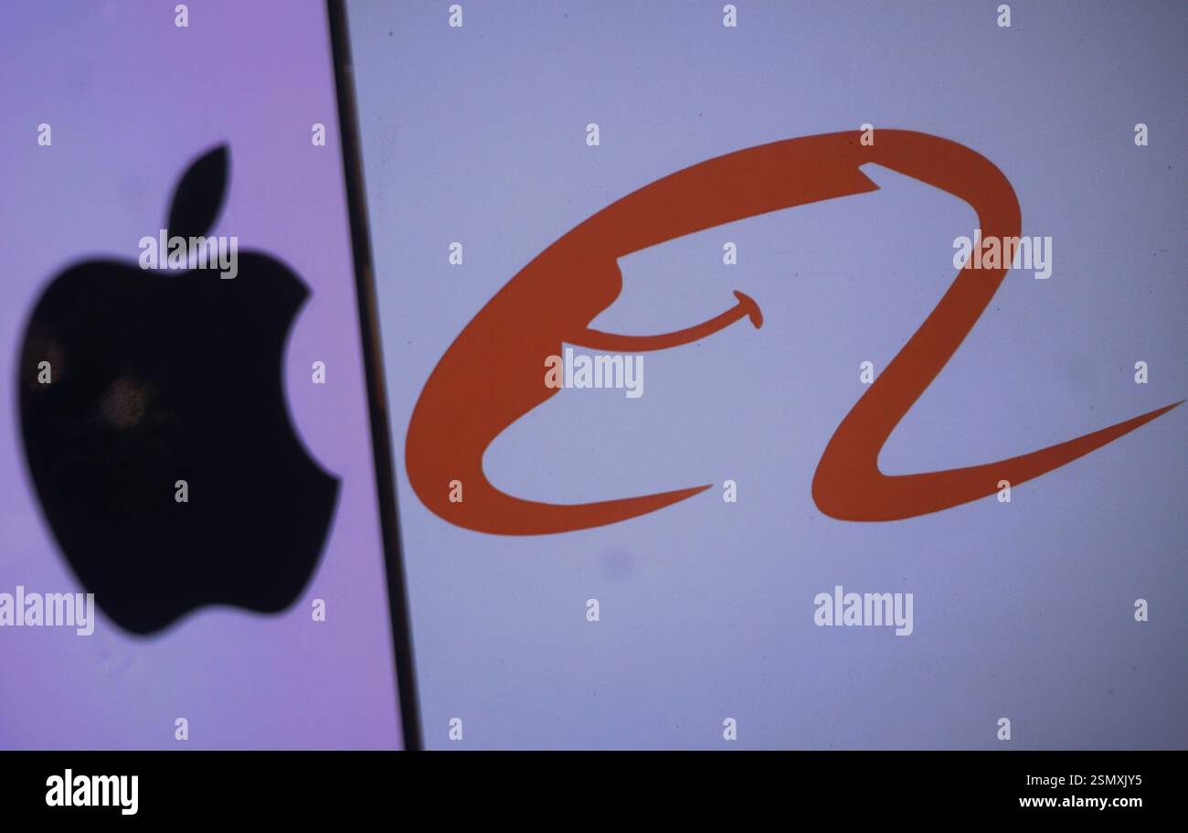 HANGZHOU, CINA - 13 FEBBRAIO 2025 - una foto illustrativa mostra i loghi di Alibaba e Apple Inc a Hangzhou, provincia di Zhejiang, Cina, 13 febbraio 20 Foto Stock