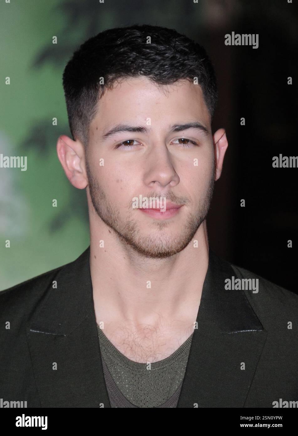 Nick Jonas arriva alla prima di "Jumanji: Welcome to the Jungle" della Columbia Pictures l'11 dicembre 2017 a Los Angeles, California Foto Stock