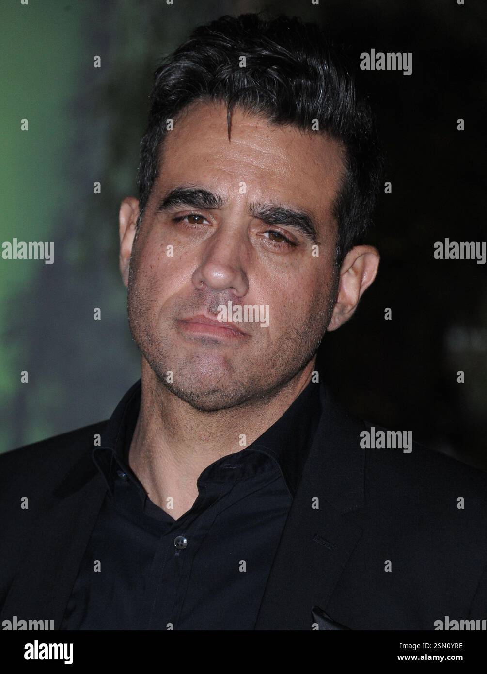 Bobby Cannavale arriva alla prima di "Jumanji: Welcome to the Jungle" della Columbia Pictures l'11 dicembre 2017 a Los Angeles, California Foto Stock