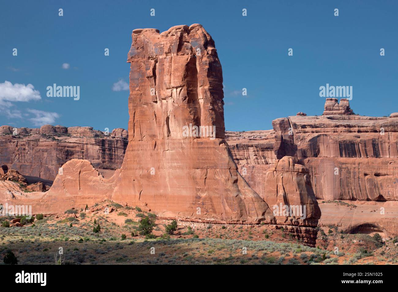 Roccia delle pecore Foto Stock
