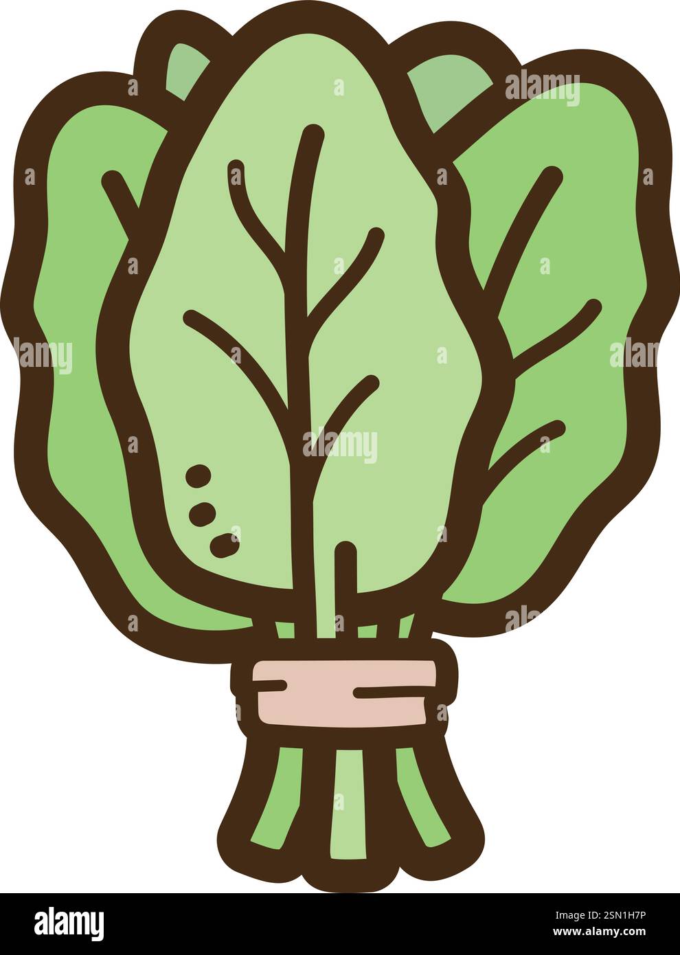 Illustrazione e grafica del doodle vettoriale degli spinaci. Parte della categoria verdure. Illustrazione Vettoriale