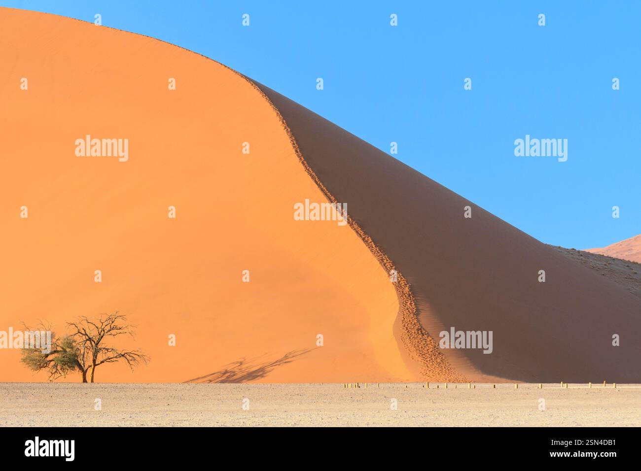 Duna 45, una duna di sabbia gigante, sulla strada tra Sossusvlei e Dead Vlei nel Namib-Nuakluft Park, deserto del Namib, Namibia Foto Stock