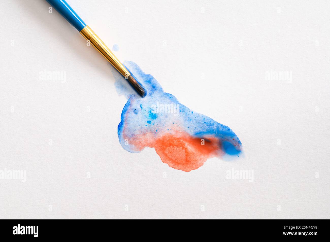 Pennello che unisce l'acquerello rosso e blu su carta bianca Foto Stock