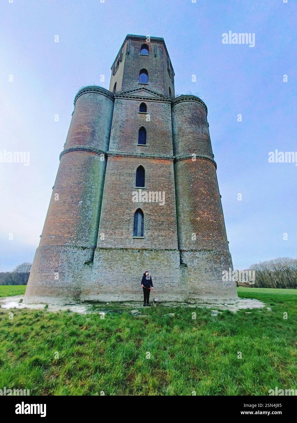 Horton Tower Dorset - Immagine stock catturata con smartphone
