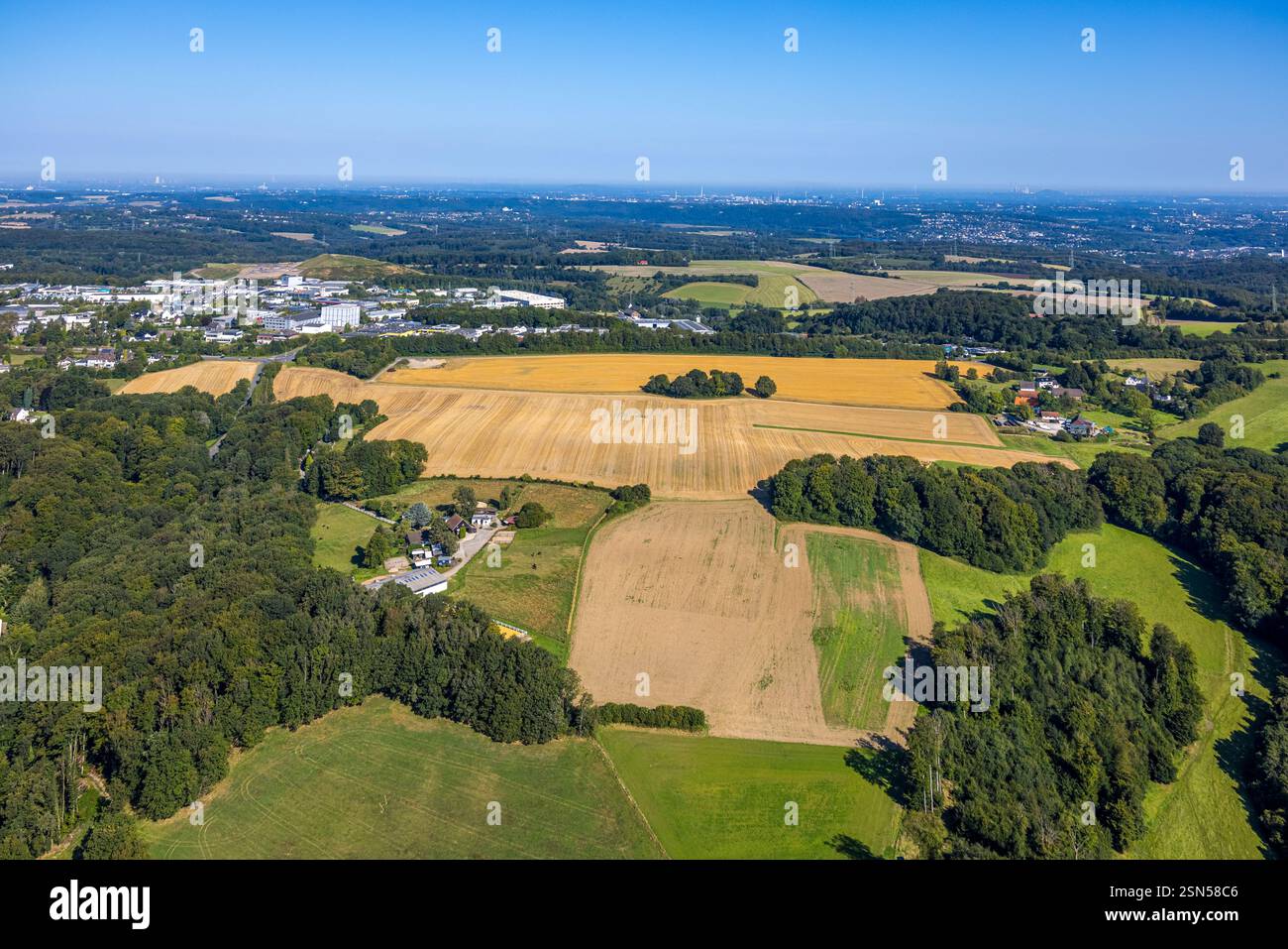 Vista aerea, area agricola e piccolo gruppo di alberi, prati e campi su Langenberger Straße con vista distante, Velbert, regione della Ruhr, Renania settentrionale- Foto Stock