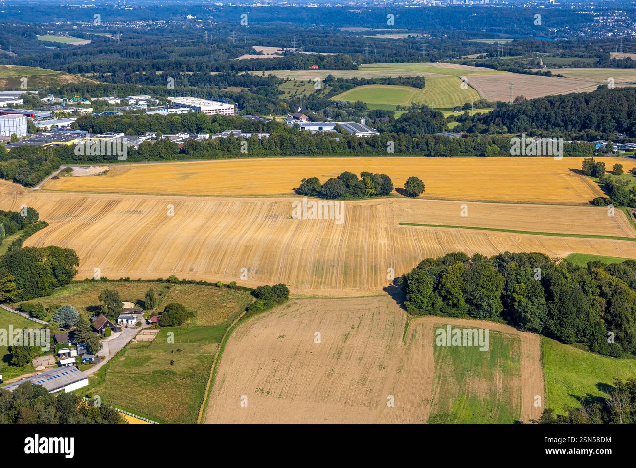 Vista aerea, area agricola e piccolo gruppo di alberi, prati e campi su Langenberger Straße, Velbert, regione della Ruhr, Renania settentrionale-Vestfalia, tedesco Foto Stock