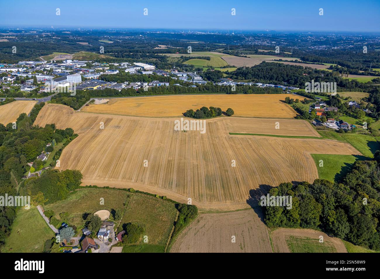 Vista aerea, area agricola e piccolo gruppo di alberi, prati e campi su Langenberger Straße, vista distante, Velbert, zona della Ruhr, Renania settentrionale-occidentale Foto Stock