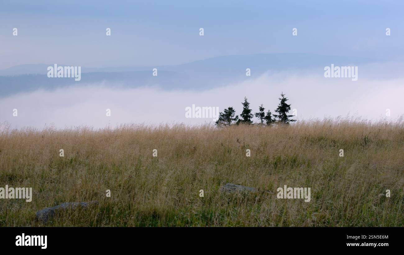 Si tratta di un giorno d'estate nuvoloso e nebbioso di agosto guardando i monti Harz (Sassonia, Germania) dal suo punto più alto, il Brocken (3.743 piedi). Foto Stock