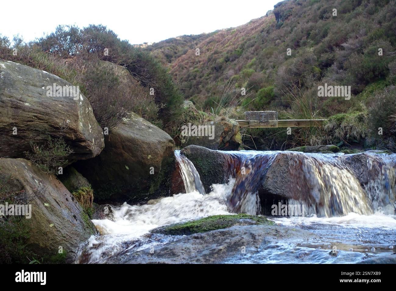 Wire Stoat/Pine Martin/Rat Trap on Wooden Plank Over Waterfall Gill Beck vicino a Skipton nello Yorkshire Dales, Inghilterra, Regno Unito Foto Stock