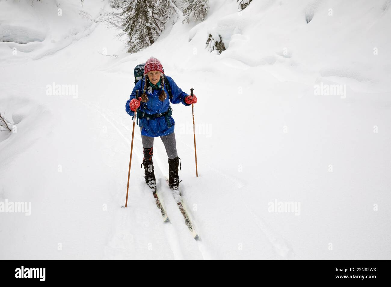 WA26367-00....WASHINGTON - Vicky Spring sci sul sentiero Amabillis Mountain nella Wenatchee National Forest. MR#S1 Foto Stock
