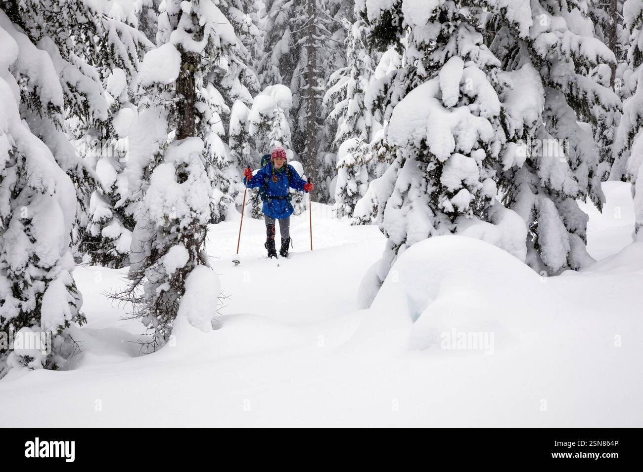 WA26368-00....WASHINGTON - Vicky Spring sci sul sentiero Amabillis Mountain nella Wenatchee National Forest. MR#S1 Foto Stock