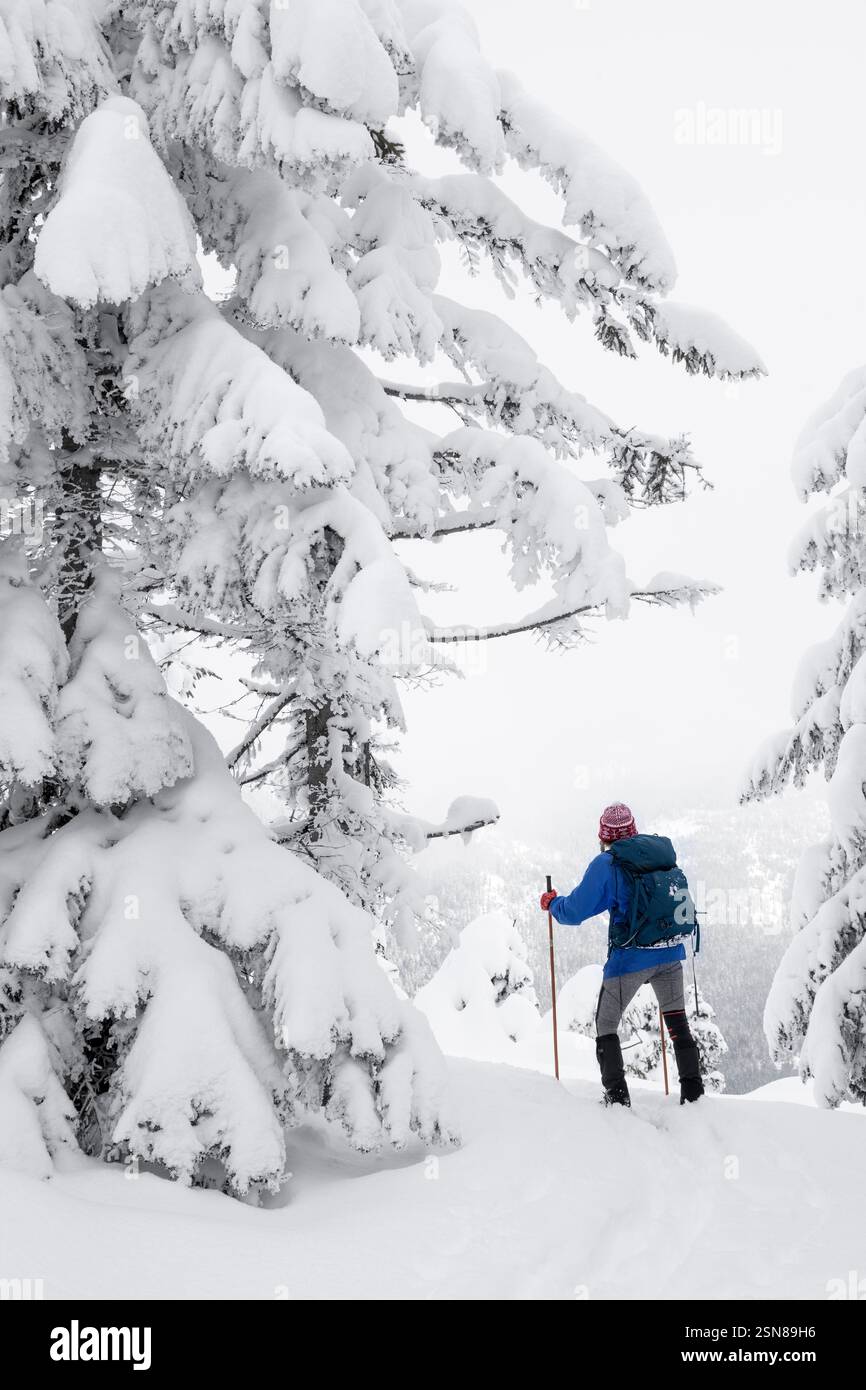 WA26378-00....WASHINGTON - Vicky Spring sci di fondo il sentiero Amabillis Mountain nella Wenatchee National Forest. MR#S1 Foto Stock