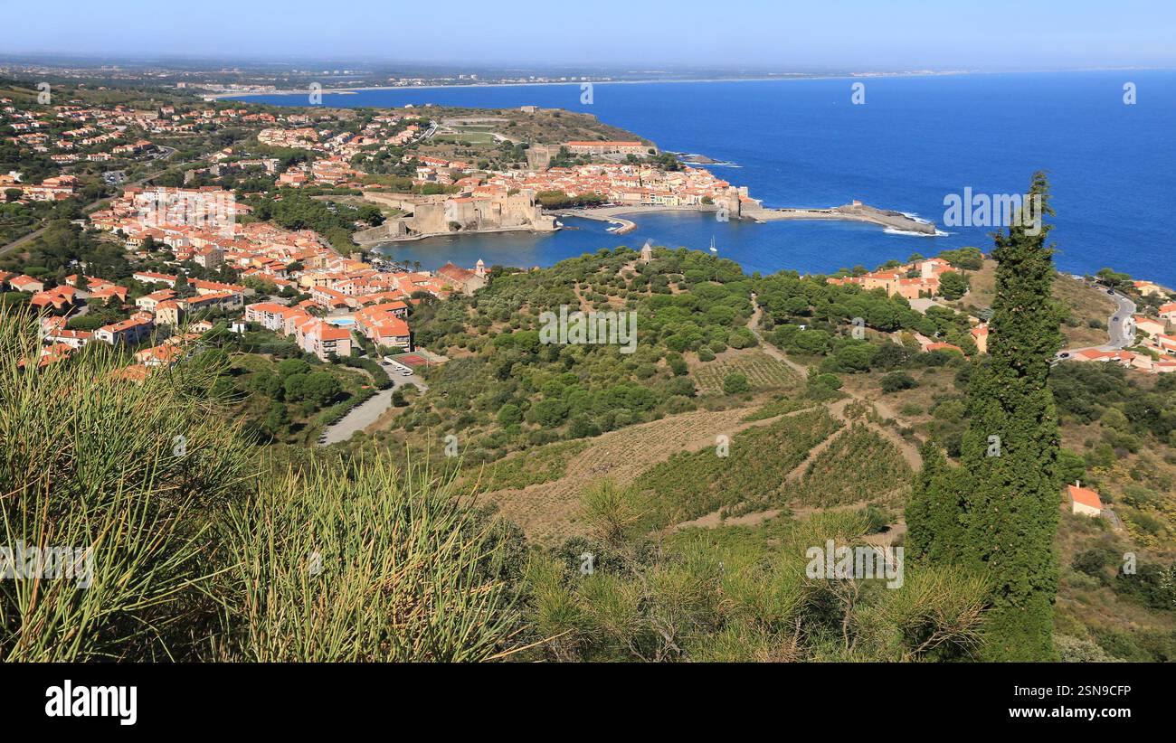Il porto di Collioure e la sua chiesa sulla costa della Vermeille. Foto Stock