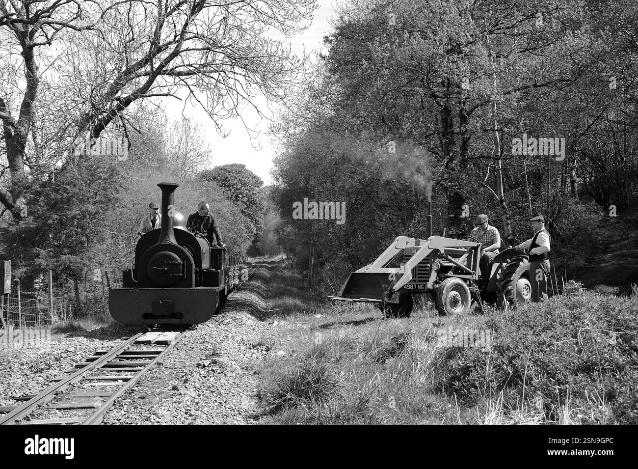 'Winifred' tra Dolfawr e Pentrepiod si fermerà con un treno di carri ardesia, trattore d'epoca e re-enattori. Foto Stock