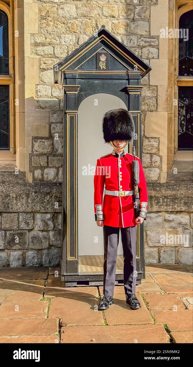 Royal Guard Londra - Immagine stock catturata con smartphone