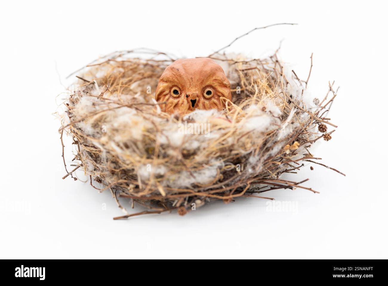 Pequeño búho de terracota en un nido Natural de aves, aislado en blanco Foto Stock