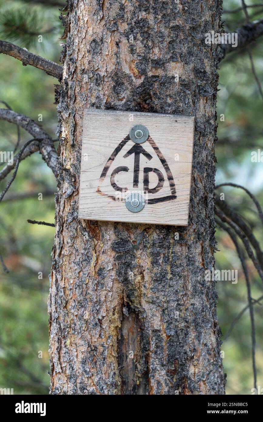Cartello del Continental divide Trail, Wind River Range, Wyoming. Foto Stock