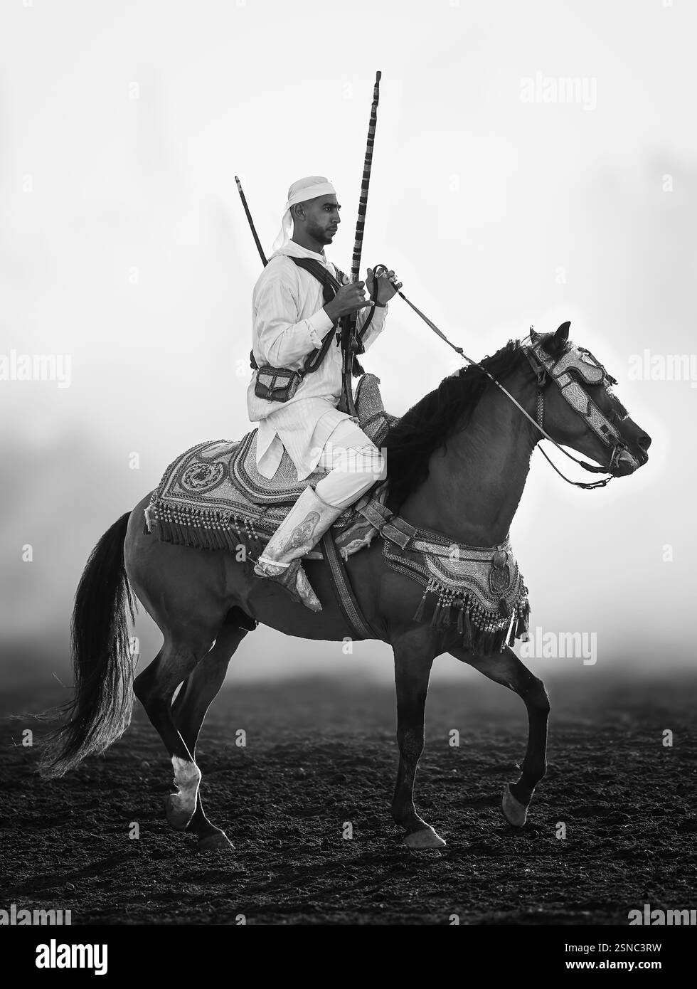 Nel cuore del Marocco, Fantasia brilla per i suoi colori vivaci e il suo potente display. Maestosi cavalli e cavalieri valorosi, avvolti da abiti vivaci, Foto Stock