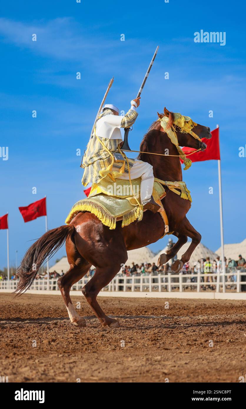 Nel cuore del Marocco, Fantasia brilla per i suoi colori vivaci e il suo potente display. Maestosi cavalli e cavalieri valorosi, avvolti da abiti vivaci, Foto Stock