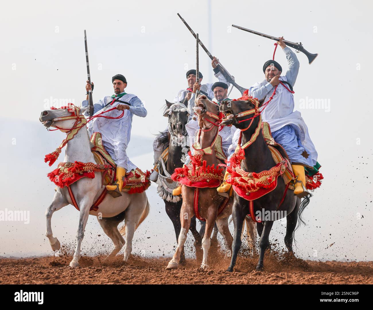 Nel cuore del Marocco, Fantasia brilla per i suoi colori vivaci e il suo potente display. Maestosi cavalli e cavalieri valorosi, avvolti da abiti vivaci, Foto Stock