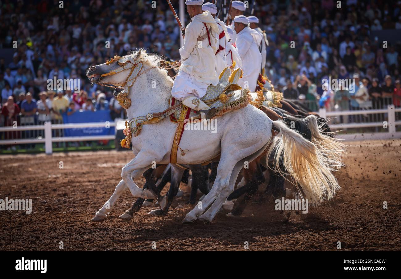 Nel cuore del Marocco, Fantasia brilla per i suoi colori vivaci e il suo potente display. Maestosi cavalli e cavalieri valorosi, avvolti da abiti vivaci, Foto Stock