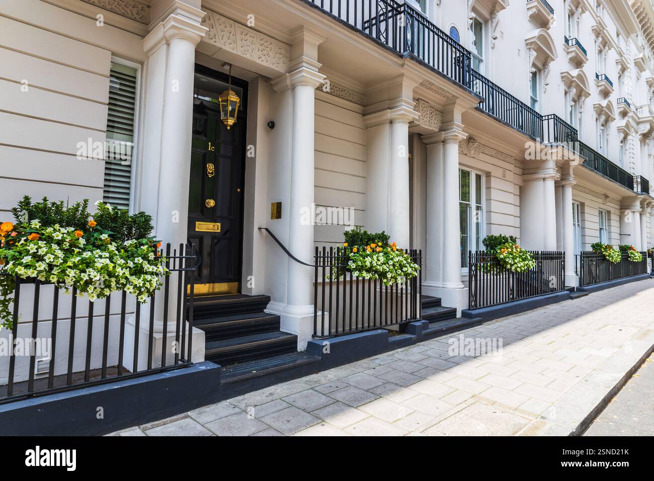 Eleganti villette in stile georgiano a Londra con facciata bianca e decorazioni floreali Foto Stock