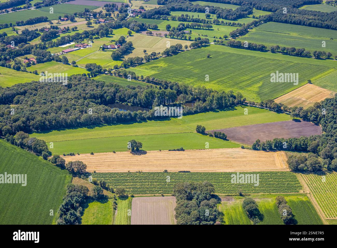 Vista aerea, prati, campi e fattorie lungo la strada federale B58, area boscosa con laghetto ASV 'Rotfeder' Alpen e.V. Zum Gewässerwart Angelv Foto Stock
