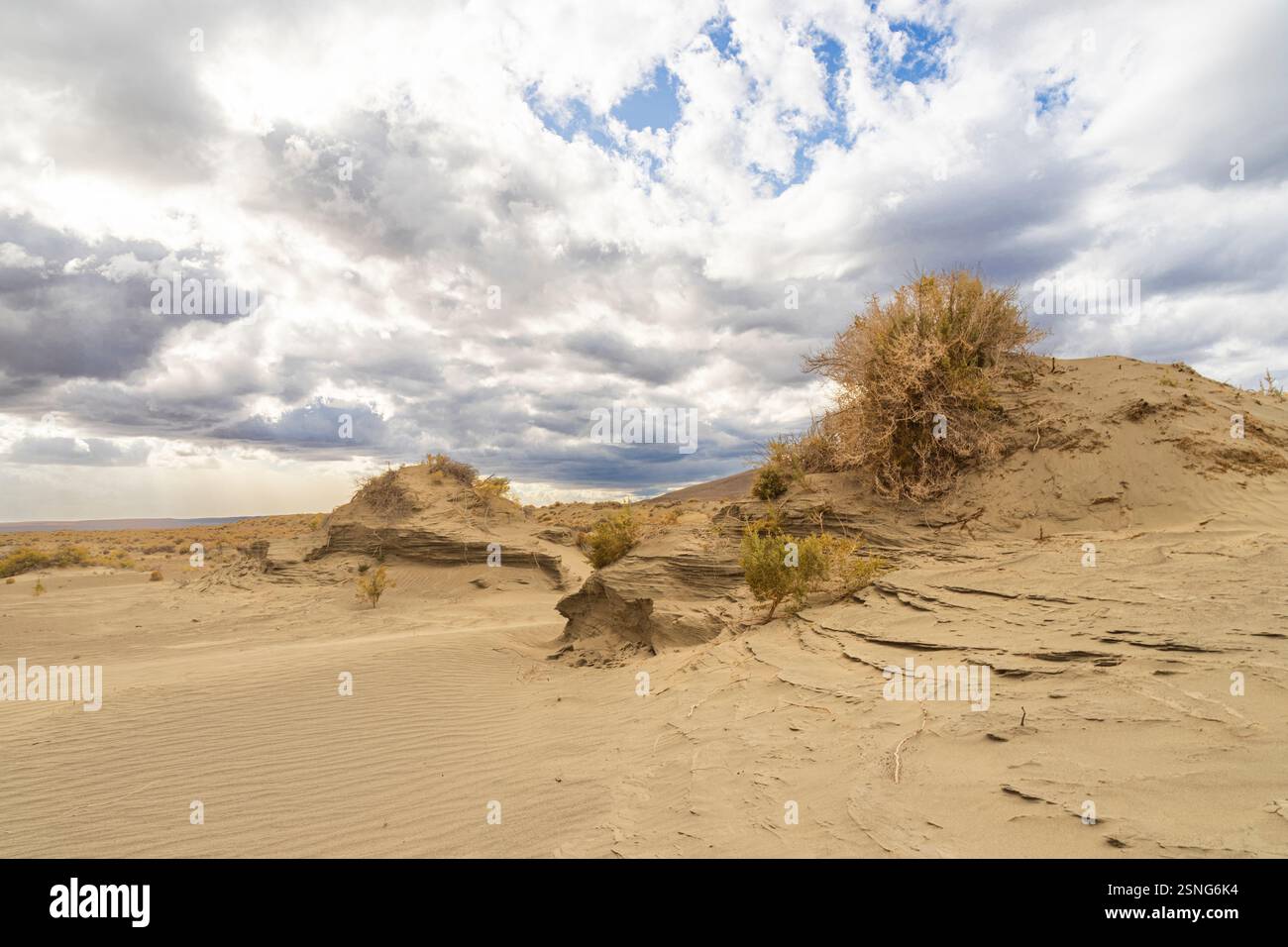 Dune di sabbia scolpite dal vento nella Christmas Valley, Oregon, con terreno accidentato, vegetazione sparsa e spettacolari nuvole di tempesta in alto. Foto Stock