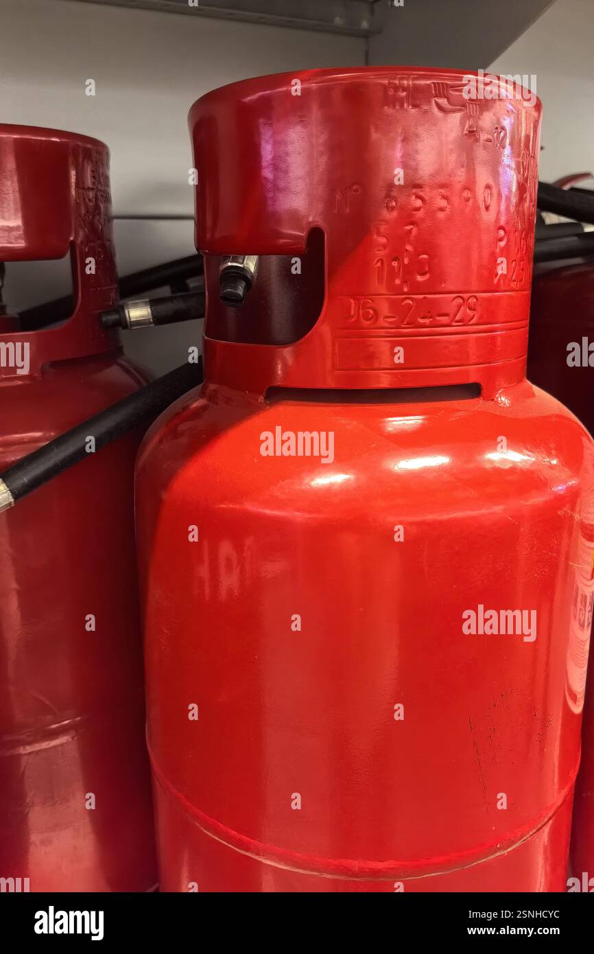 Gli estintori di colore rosso brillante sono disposti in modo ordinato su un ripiano, con ugelli metallici ed etichette di ispezione. Questa installazione prepara i volontari per e. Foto Stock