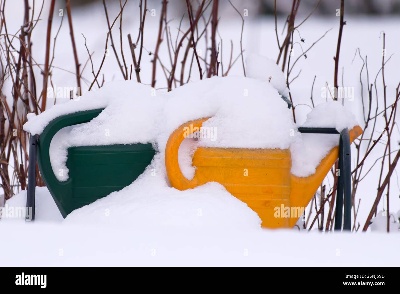 Annaffiatoi verdi e gialli completamente ricoperti di neve profonda in inverno. Foto Stock