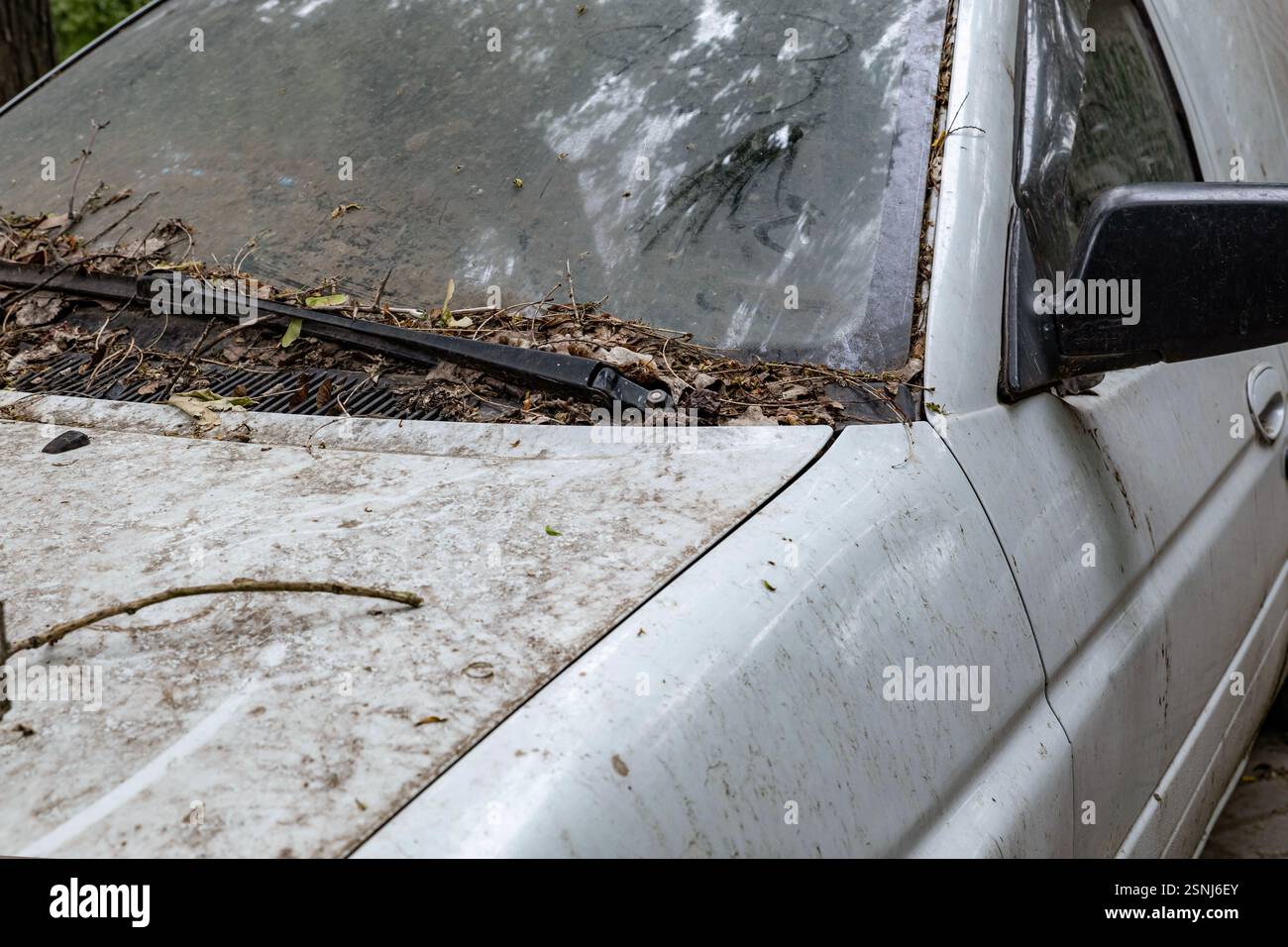 Auto vecchia e sporca con un parabrezza pieno di foglie e rami, che simboleggia il crescente problema dei veicoli abbandonati e dei rifiuti ambientali. Foto Stock
