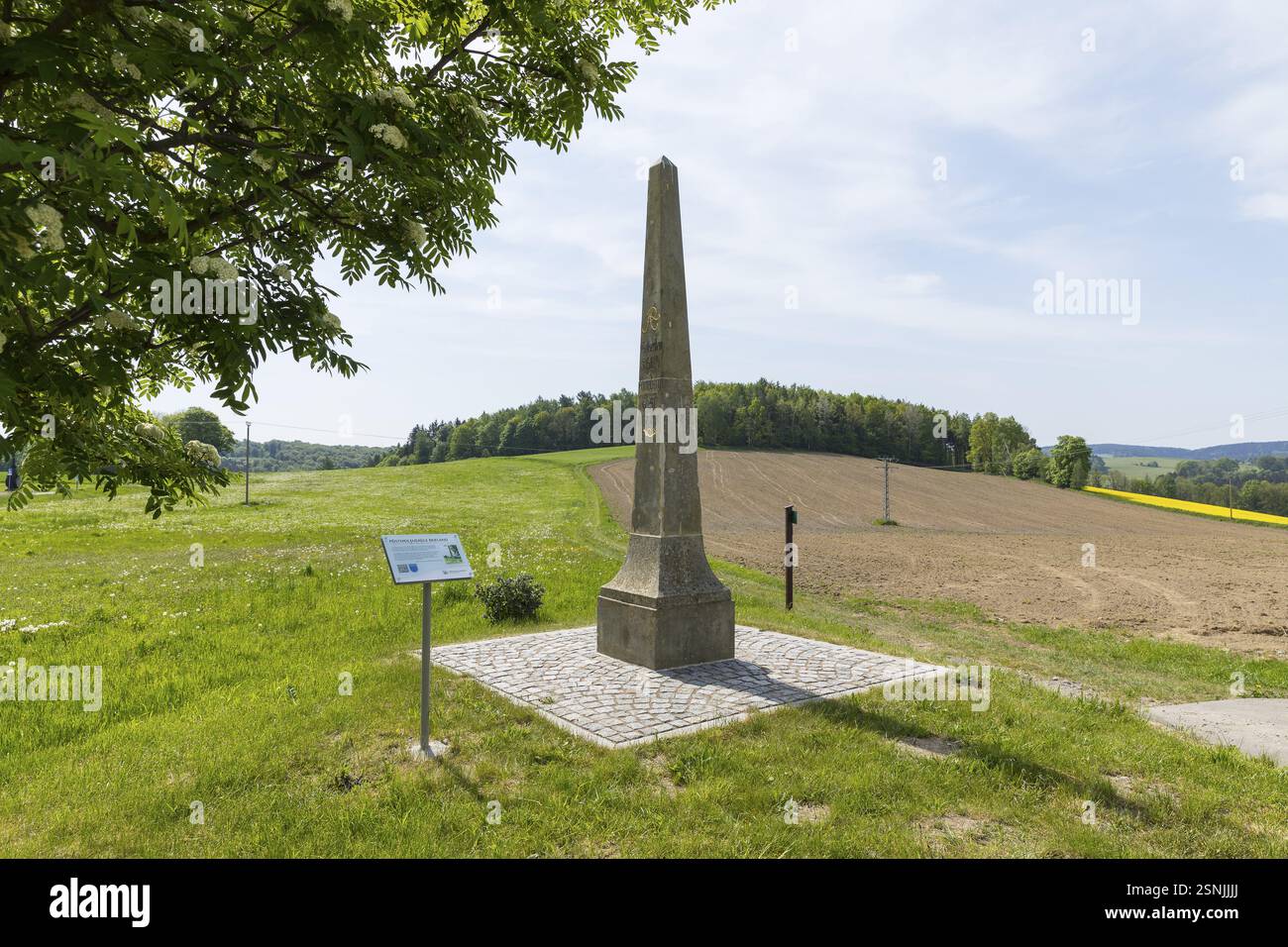 Colonna storica della posta a Reifland, Pockau-Lengefeld, Sassonia, Germania, Europa Foto Stock