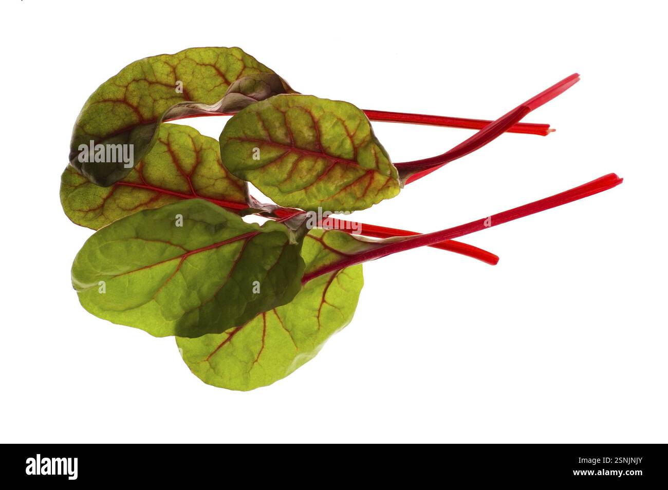 Verdure fresche - barbabietole di spinaci isolate su sfondo bianco Foto Stock