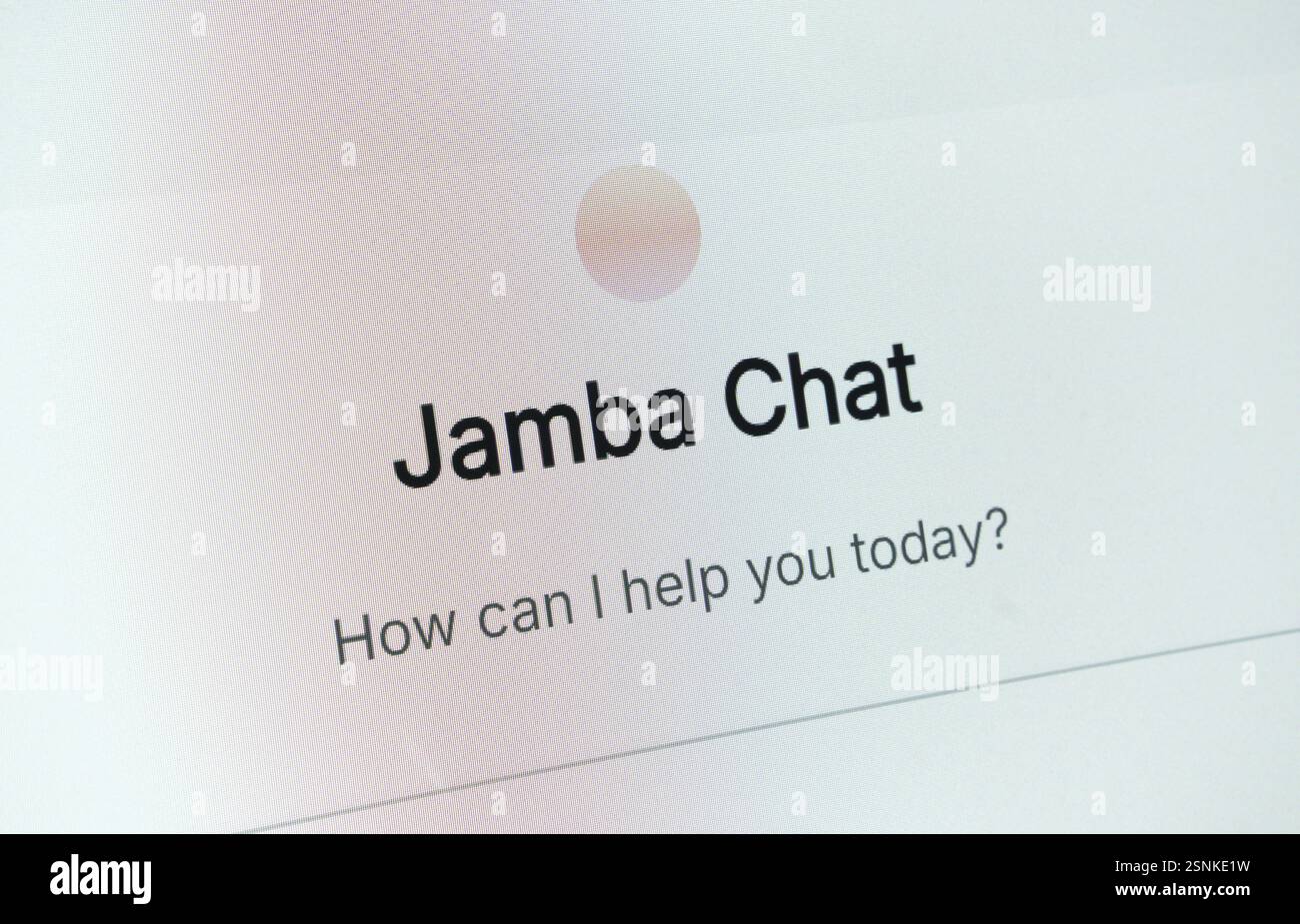 AI21 Labs Jamba Chat sullo schermo del notebook Foto Stock