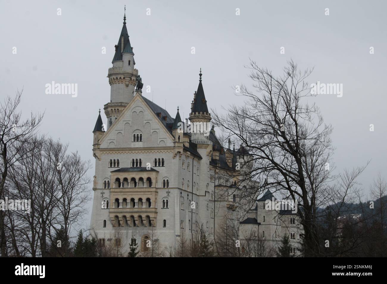 Il fiabesco castello di Neuschwanstein in Baviera, Germania, sorge su un'aspra collina circondata da alberi lussureggianti. Re Ludovico II di Baviera lo costruì come re Foto Stock