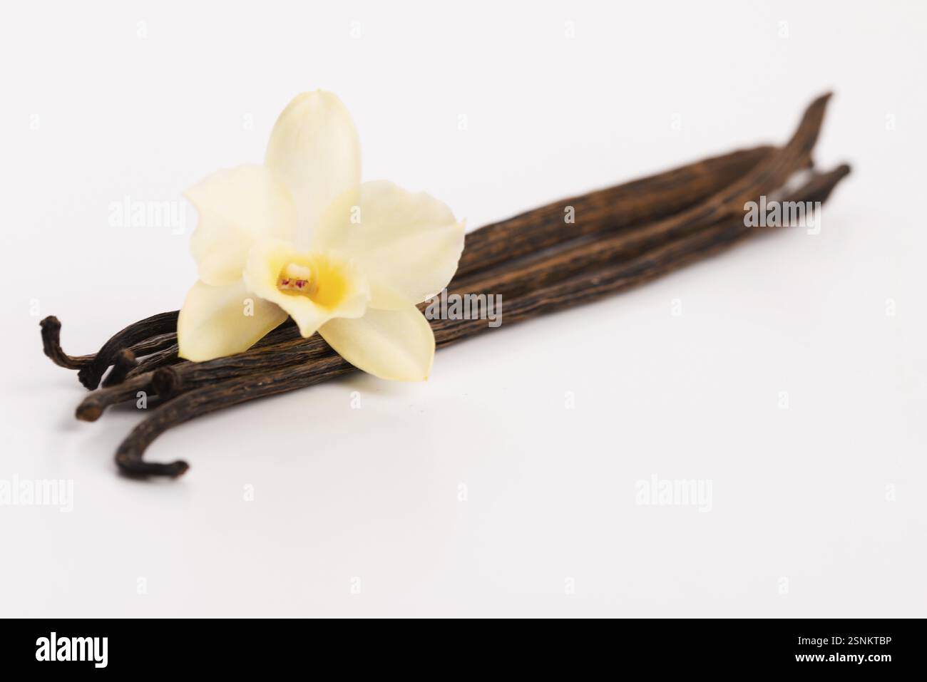 Baccelli di vaniglia Foto Stock