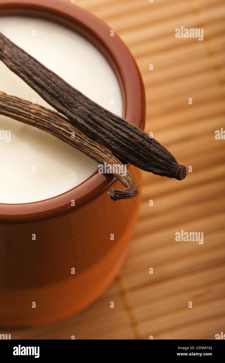 Dolce budino alla vaniglia, polonia Foto Stock