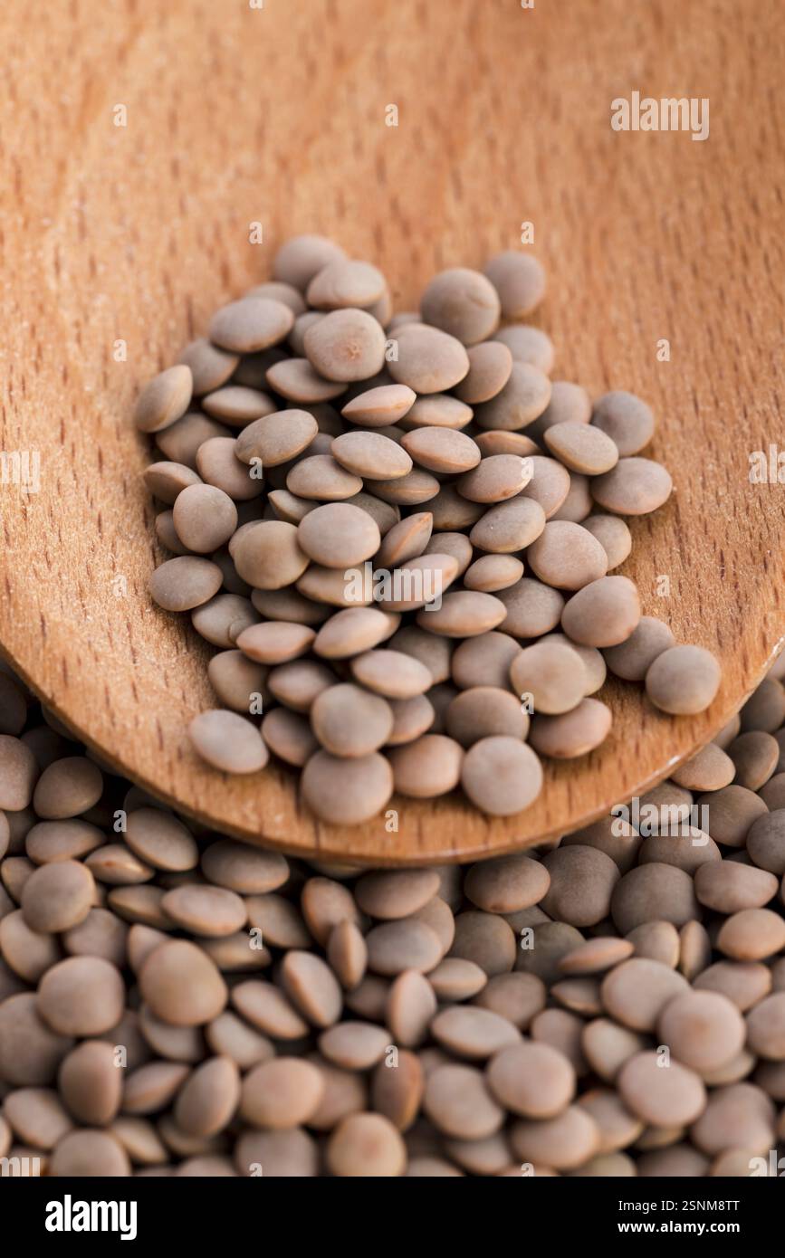 Lenticchie marroni organiche secche, lodz, polonia Foto Stock