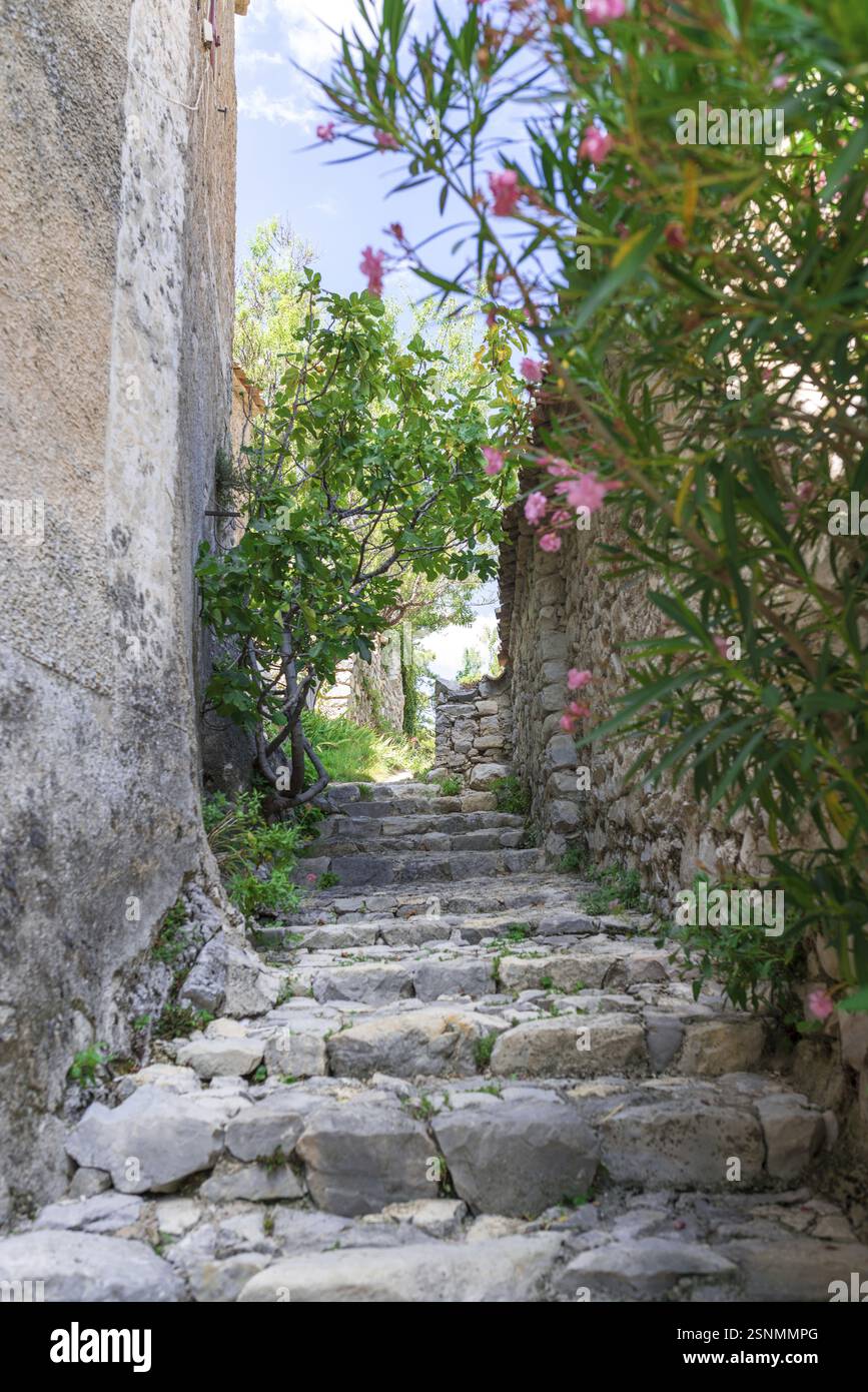 Villaggio in Provenza Foto Stock