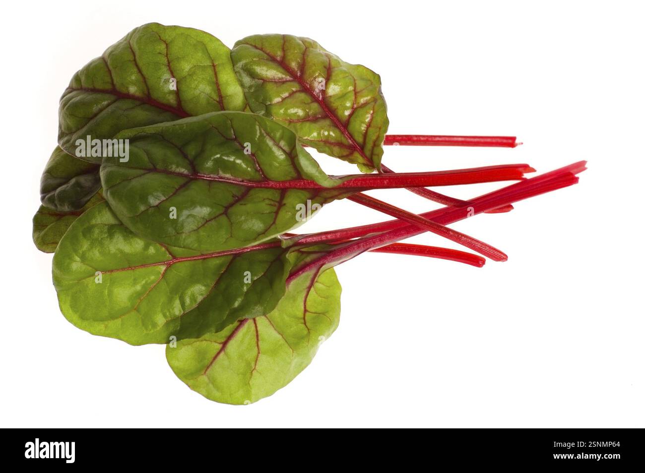 Verdure fresche - barbabietole di spinaci isolate su sfondo bianco Foto Stock