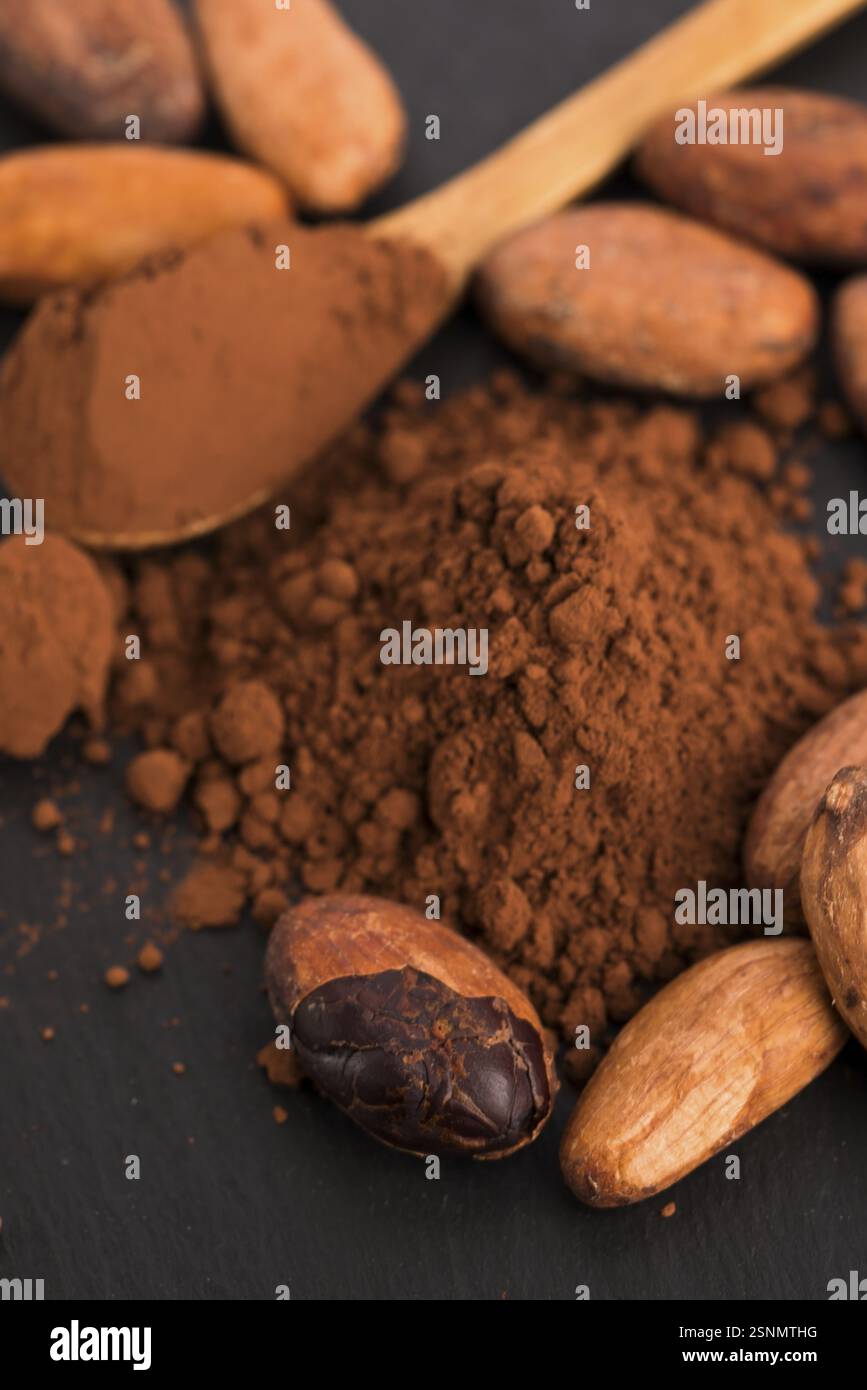 Chicchi di cacao e polvere di cacao in cucchiaio Foto Stock