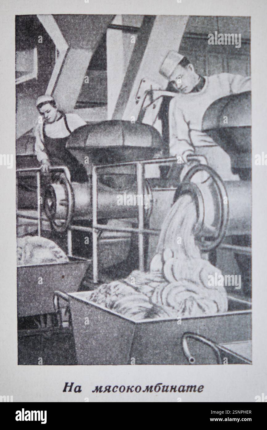 Un lavoratore macina la carne in un impianto di lavorazione, una fabbrica. Una fotografia in bianco e nero dal libro di cucina russo, The Book of Tasty and Healthy Food. Foto Stock