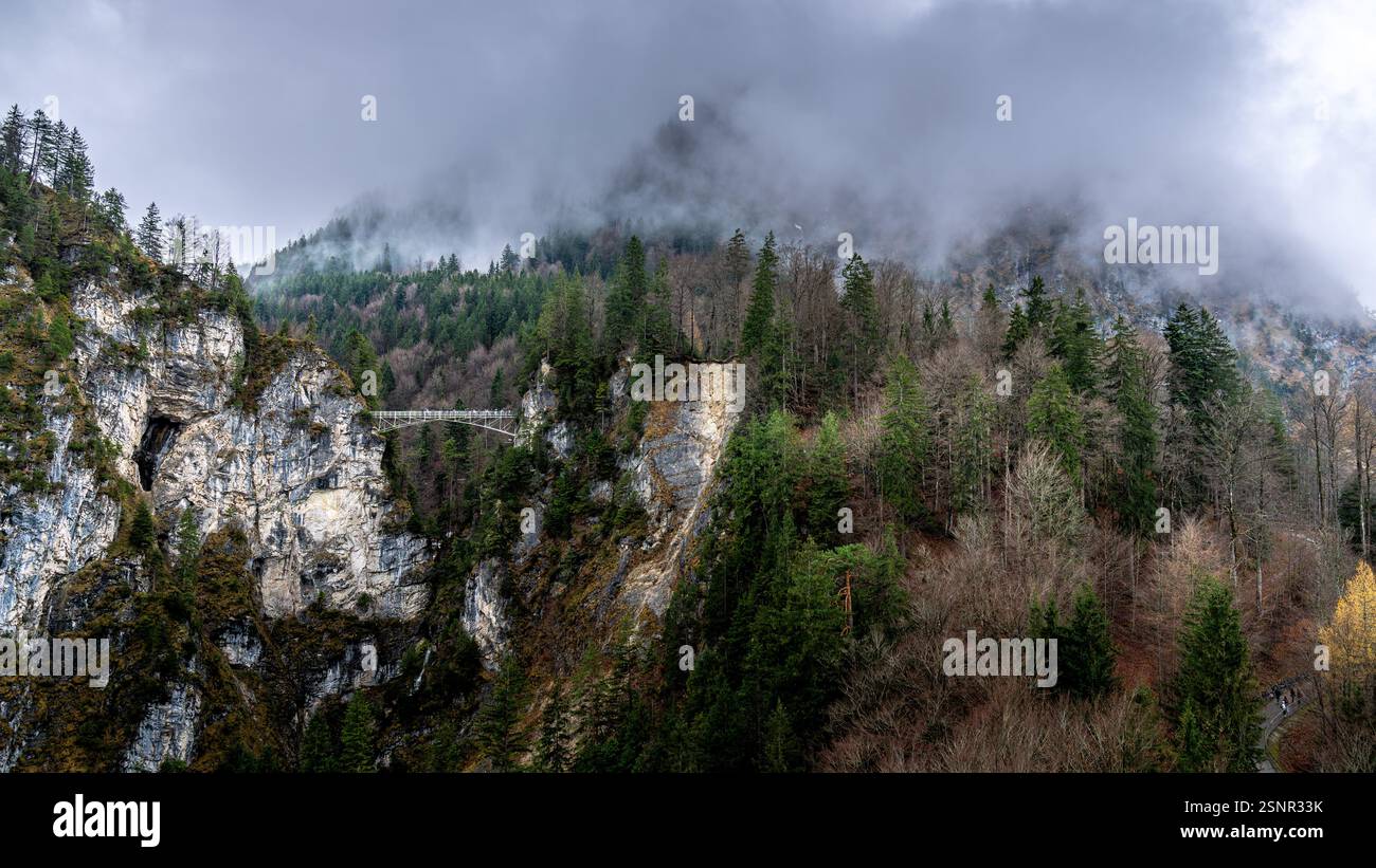 Scogliere alpine nebbiose e pendii boscosi Foto Stock