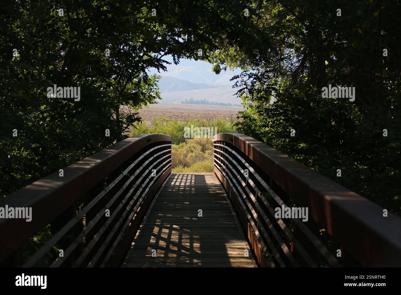 Un ponte su un torrente passa dall'ombra alla luce solare. Foto Stock