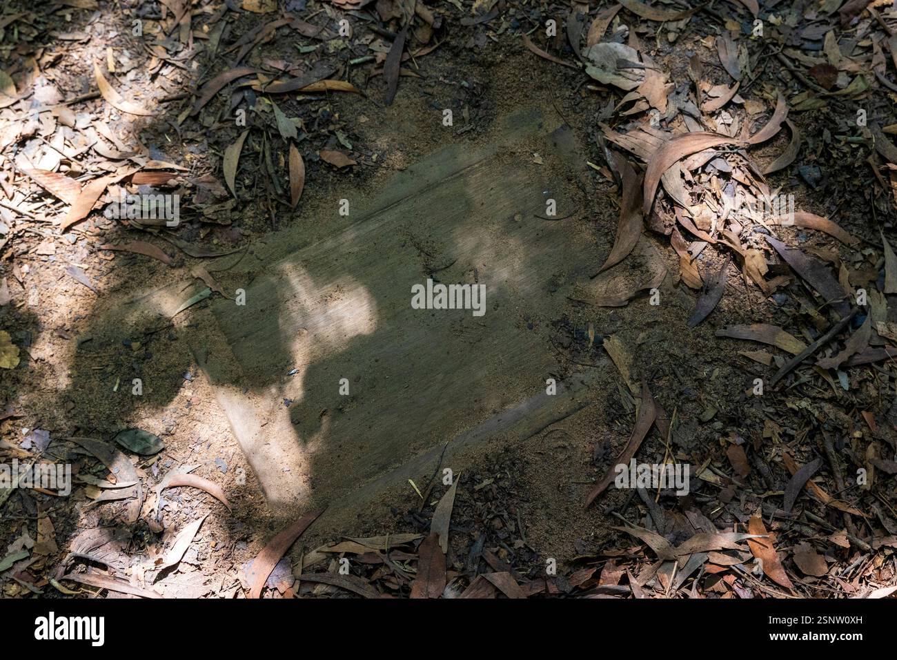 Ingresso a un tunnel nascosto, tunnel Cu chi, ho chi Minh - Saigon, Vietnam, sabato 9 novembre 2024. Foto: David Rowland / One-Image.com Foto Stock