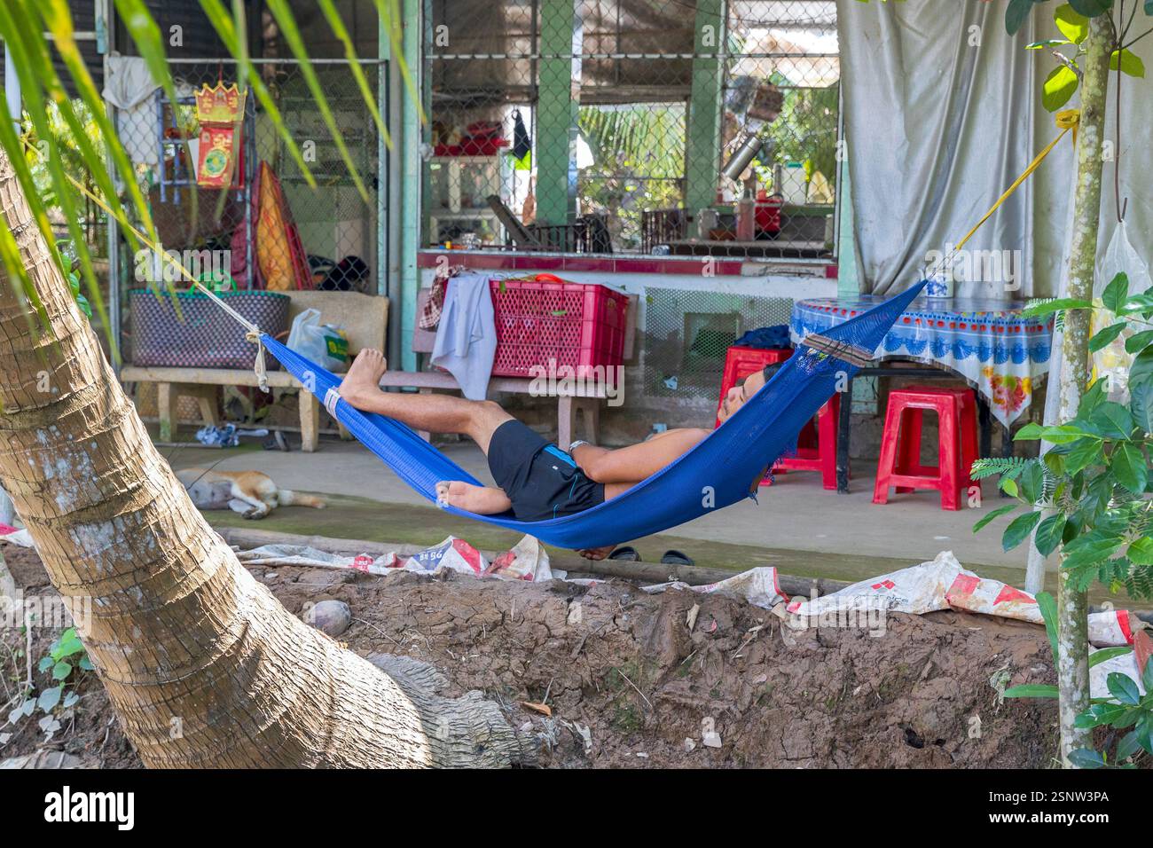 Un uomo sta sdraiandosi in un'amaca blu fuori da una casa di famiglia a Quoi Son, Vietnam, lunedì 11 novembre 2024. Foto: David Rowland / One-Image.com Foto Stock