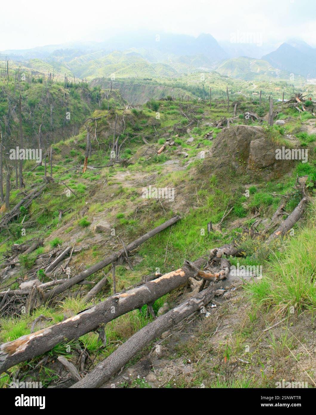 La foto cattura un paesaggio in ripresa sul Monte Merapi che mostra una vegetazione vibrante e alberi caduti in un ambiente sereno un anno dopo il vulcano Foto Stock